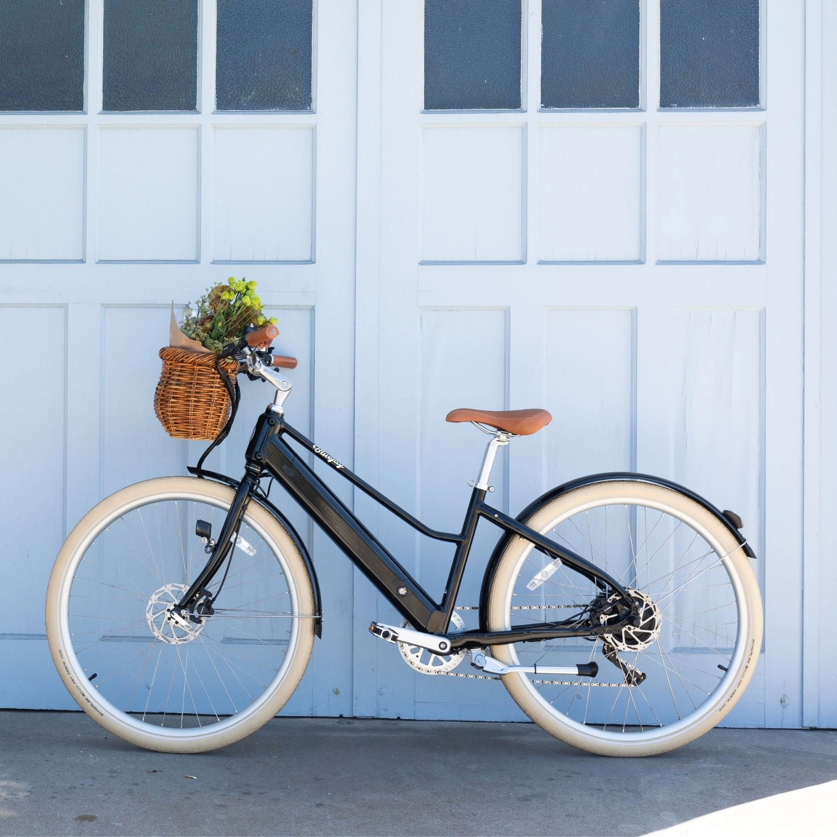 Bluejay Premiere Lite - Classic Black Electric Bike