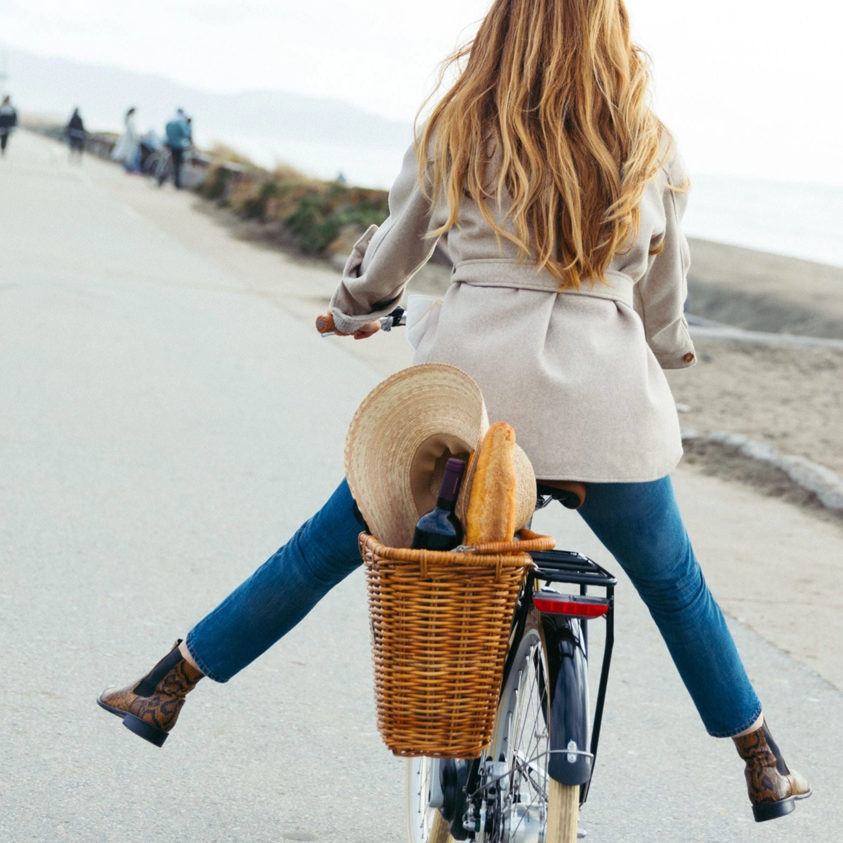 Bluejay Premiere Lite - Classic Black Electric Bike