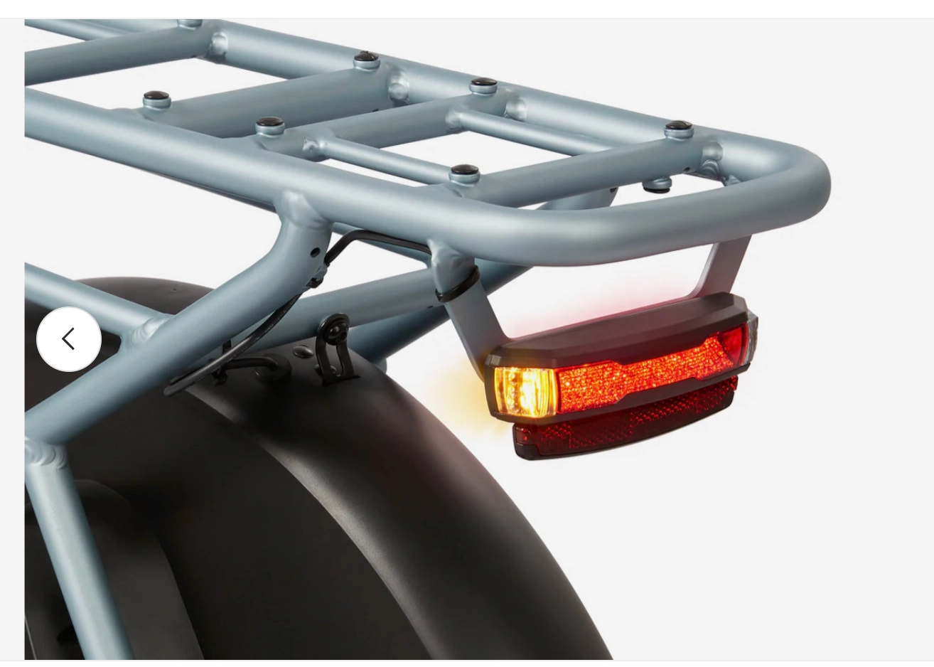 Flyer Via Pro Ultimate Family Cargo Step Thru Electric Bike