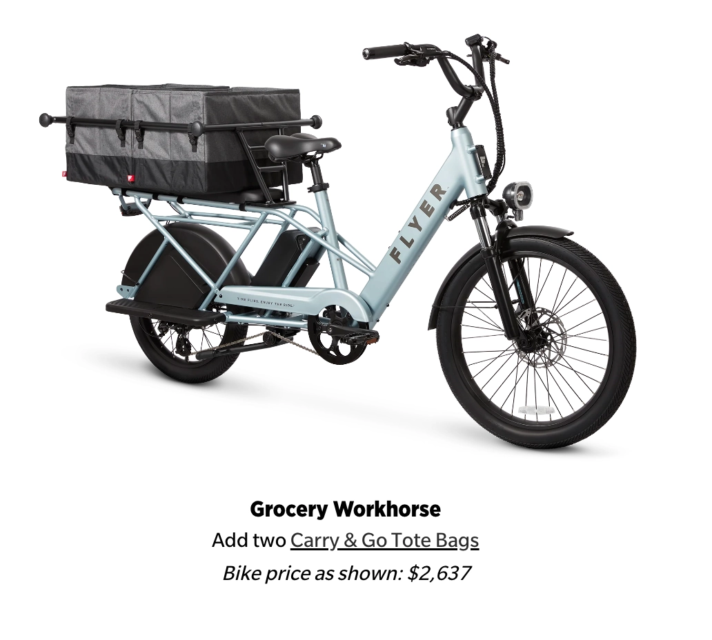 Flyer Via Pro Ultimate Family Cargo Step Thru Electric Bike