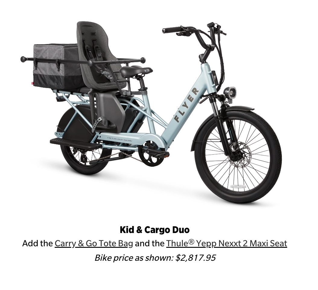 Flyer Via Pro Ultimate Family Cargo Step Thru Electric Bike