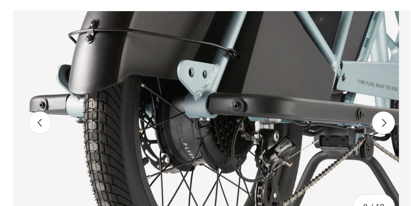 Flyer Via Pro Ultimate Family Cargo Step Thru Electric Bike
