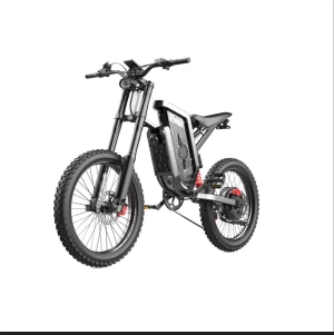 Freego  X2 Pro Full Suspension Electric Dirt Bike