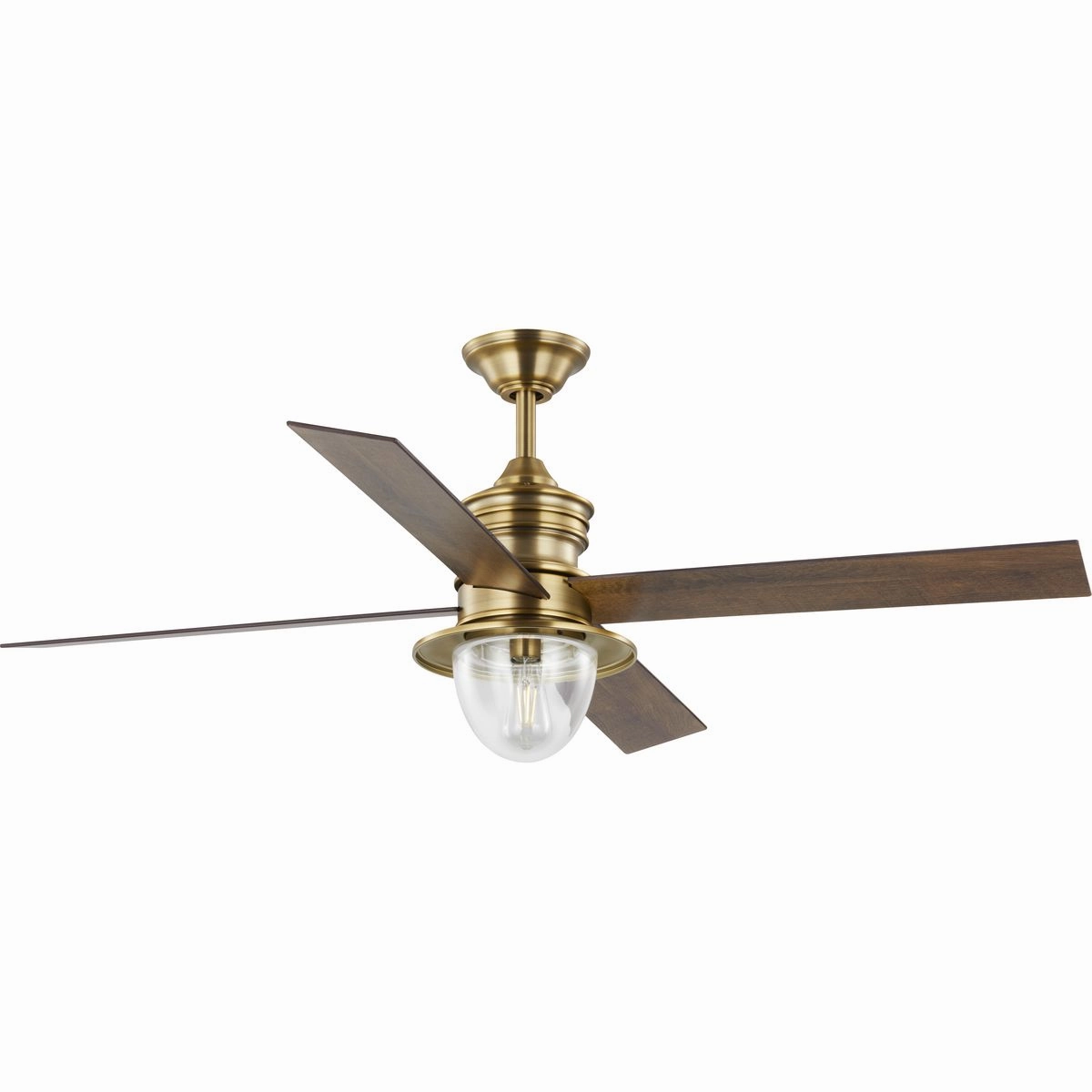 Gillen 56" 4-Blade LED Indoor/Outdoor Ceiling Fan with Light Kit and Clear Glass Shade