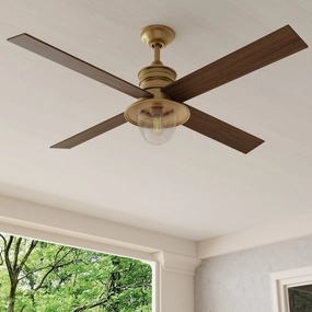 Gillen 56" 4-Blade LED Indoor/Outdoor Ceiling Fan with Light Kit and Clear Glass Shade