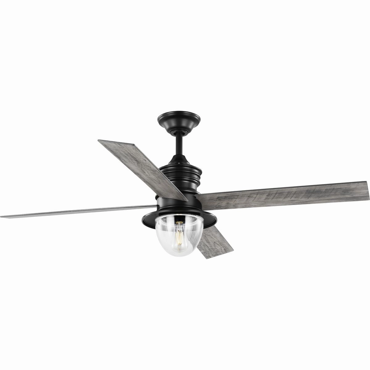 Gillen 56" 4-Blade LED Indoor/Outdoor Ceiling Fan with Light Kit and Clear Glass Shade