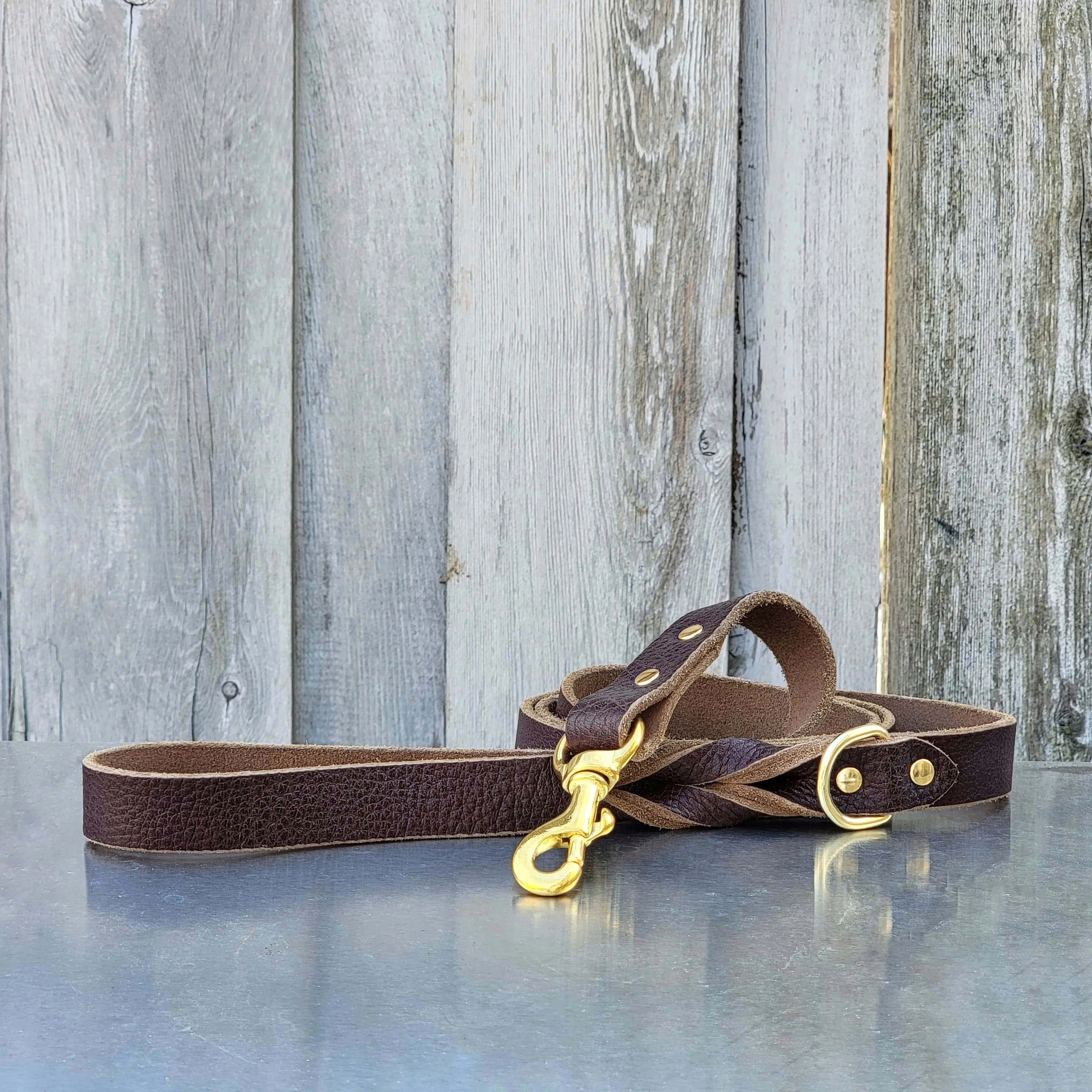 Rover Leather Dog Leash and Collar Set